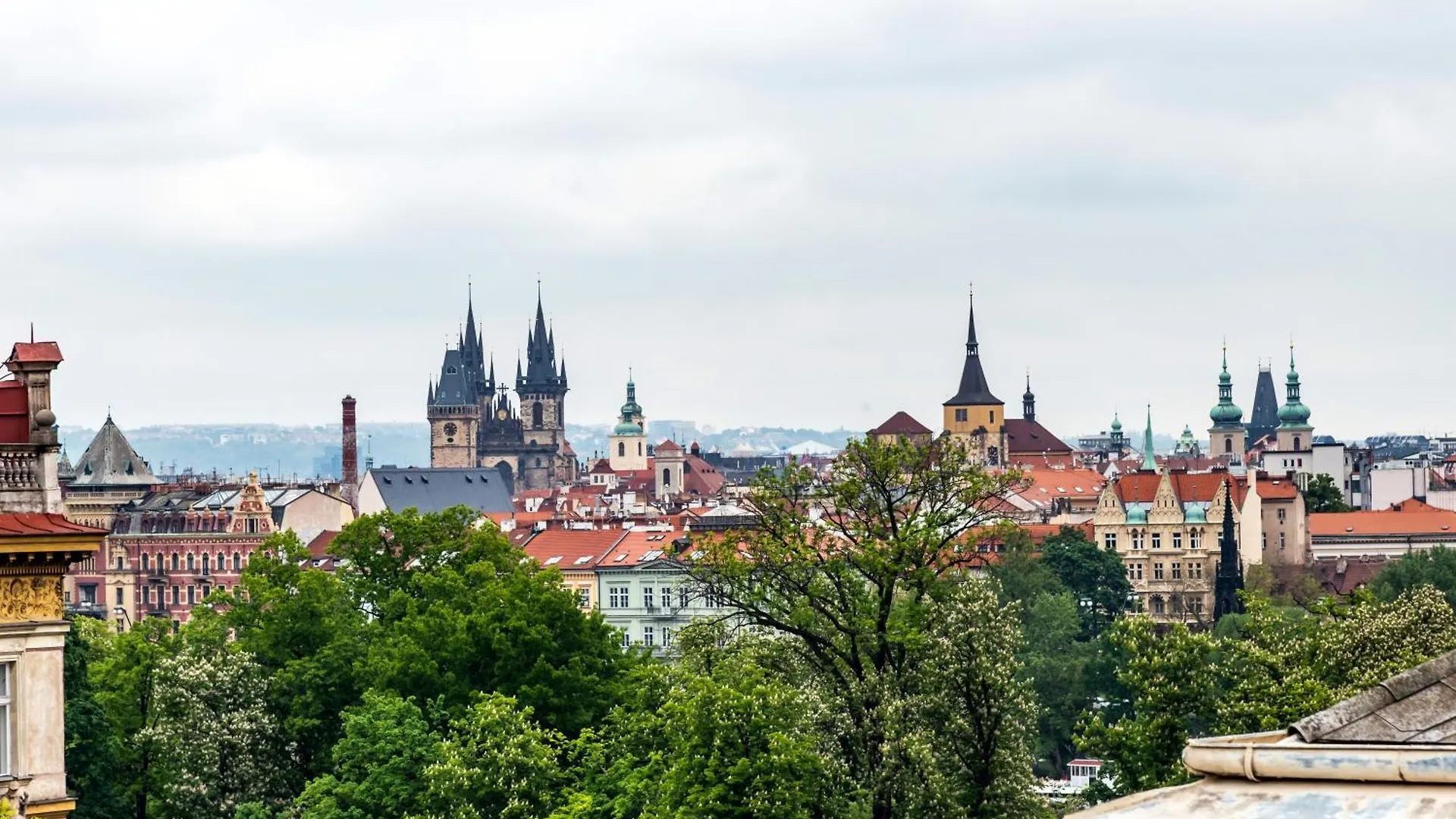 Appartement Luxurious 3Bed Very Spacious Apt In The Best Area Prague