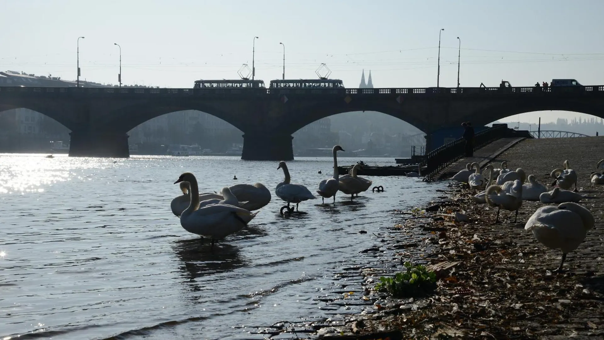 Appartement Luxurious 3Bed Very Spacious Apt In The Best Area Prague